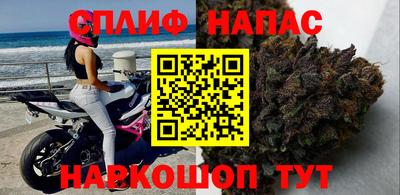 кокс Можга