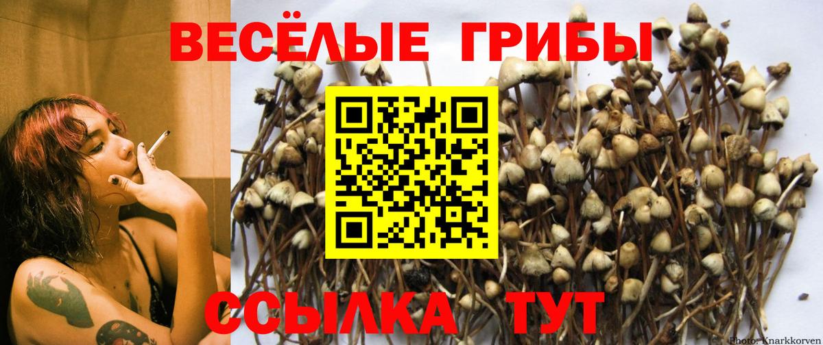Галлюциногенные грибы MAGIC MUSHROOMS Саранск