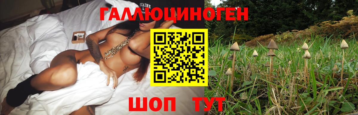 Саранск  Галлюциногенные грибы ЛСД  Вход с VPN  Псилоцибиновые грибы мухоморы 